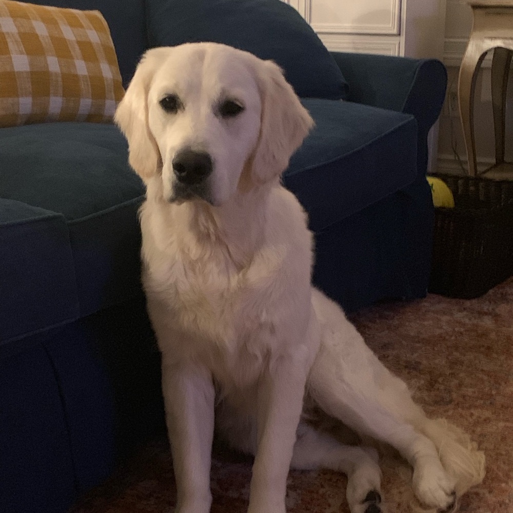 Meet your Posher, Aubrey